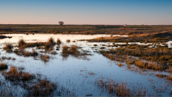 Natural Castilla Y León - Image 5
